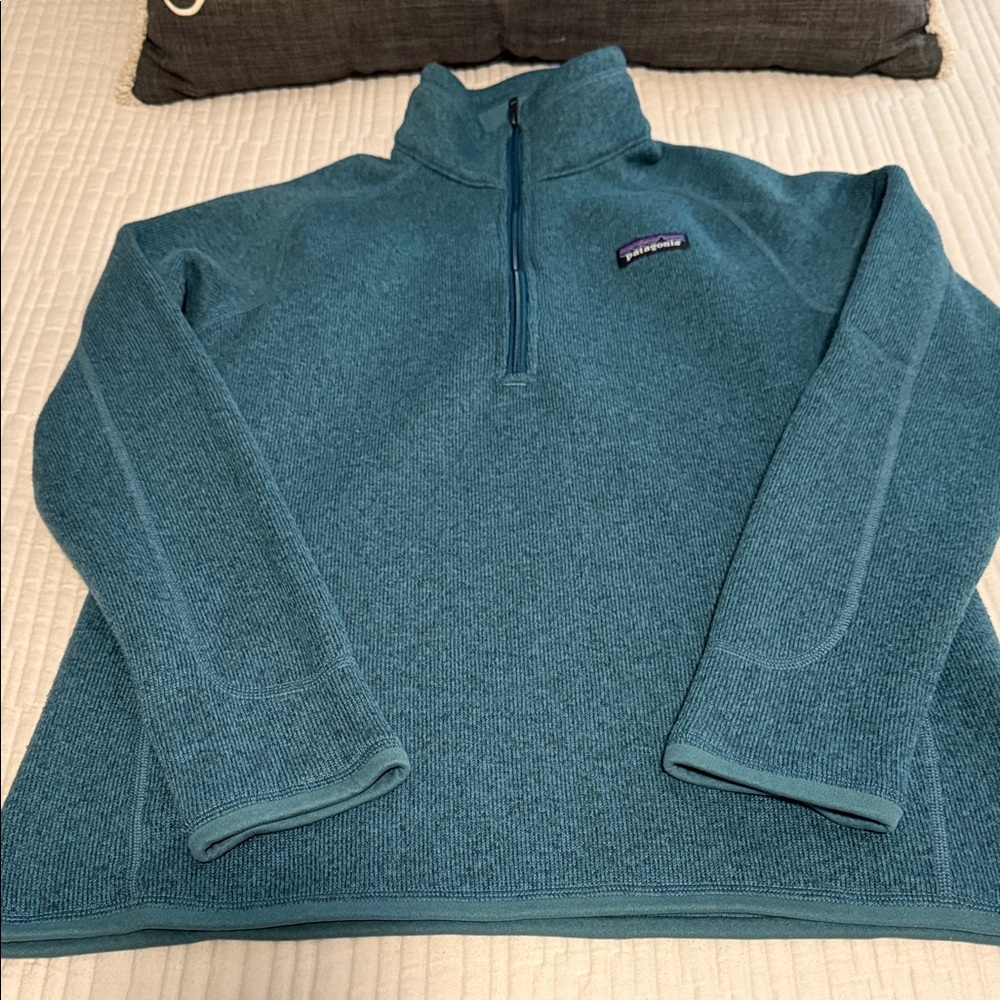 Patagonia Blue Fleece Pullover